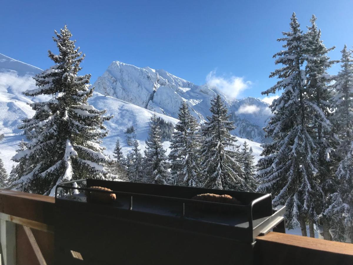 Appartement T2 Col De Merdassier Au Pied Des Pistes Manigod Exteriör bild